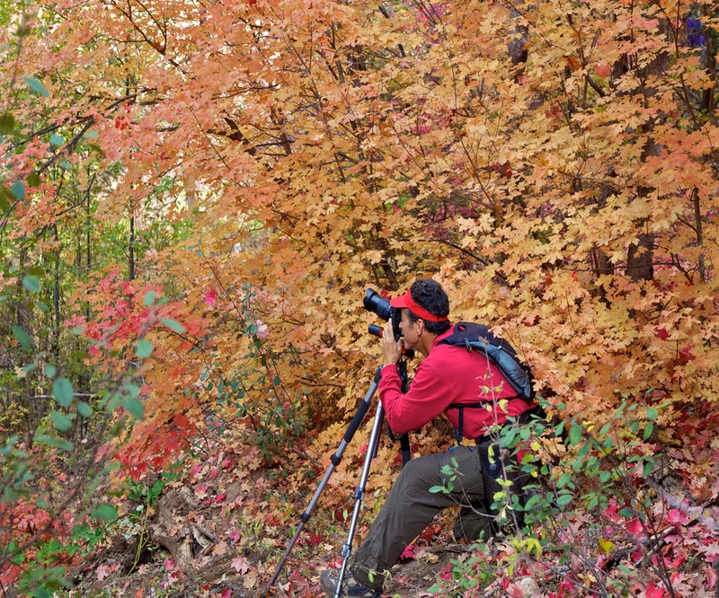 Videographer filming colorful fall foliage for a seasonal video content calendar